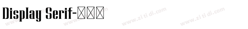 Display Serif字体转换 Display Serif字体转换